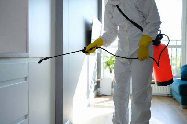 Professional Mold Removal in Ennis, TX