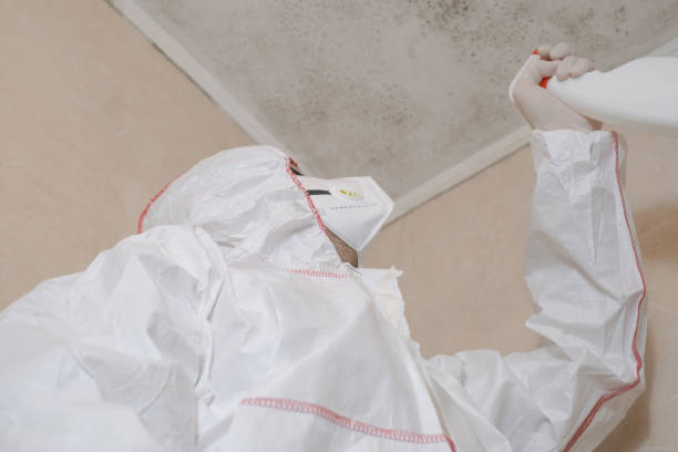 Best Home Mold Removal  in Ennis, TX